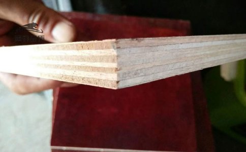 南寧11層工程建設(shè)用酚醛面小板