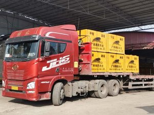 100萬(wàn)的建筑模板訂單量發(fā)往湖南岳陽(yáng)！